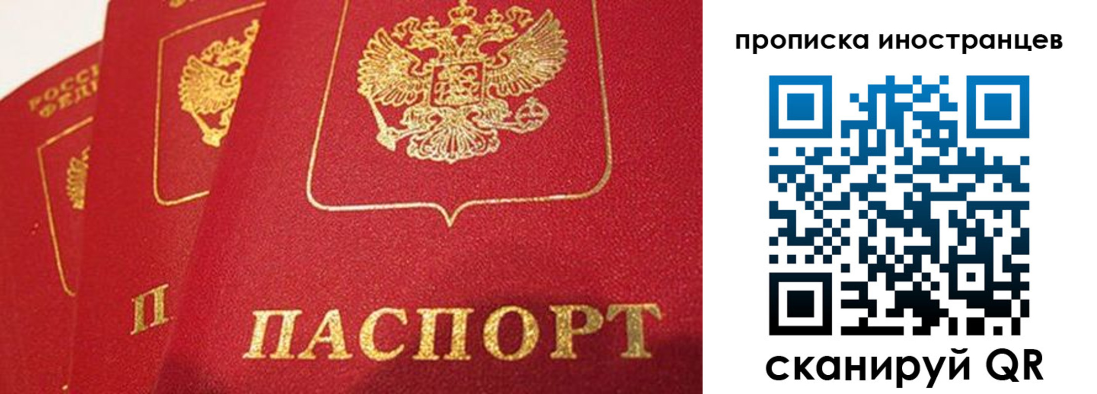 прописка поиск в Жирновске